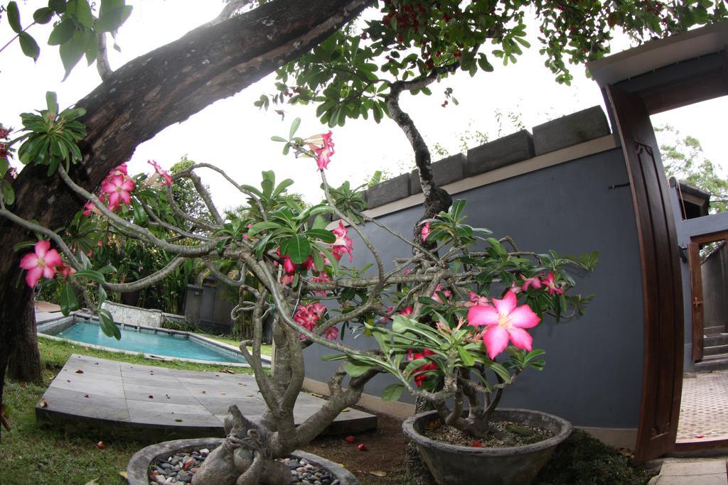Villa D'Suite Seminyak Dış mekan fotoğraf